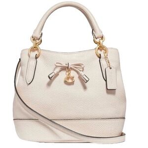 Coach Ally Bucket Bag EUC